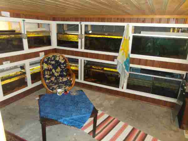 Leifs fishroom