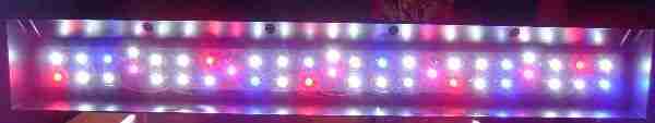 Lit up LEDs during premounting check.